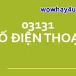 03131 là số điện thoại gì? Đúng nhất