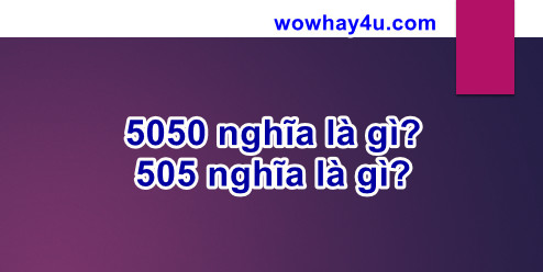 5050 nghĩa là gì? 505 nghĩa là gì? Đúng nhất