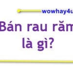 Bán rau răm là gì? Đúng nhất bỏ qua là cả đời tối cổ