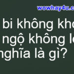 Đại bi không khóc đại ngộ không lời nghĩa là gì? Đúng nhất