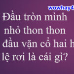 Đầu tròn mình nhỏ thon thon… cổ hai hàng lệ rơi là cái gì? Đúng nhất
