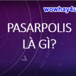 Pasarpolis là gì? Đọc ngay đúng nhất