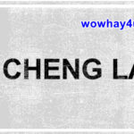 Sam Cheng là ai? Bật mí bí mật Sam Cheng chưa ai biết