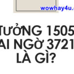 Tưởng 1505 ai ngờ 3721 là gì? Đúng nhất không đọc tối cổ nghe