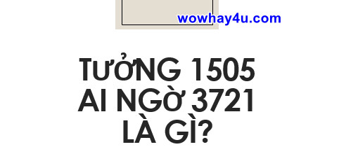 Tưởng 1505 ai ngờ 3721 là gì? Đúng nhất không đọc tối cổ nghe