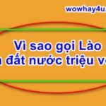 Vì sao gọi Lào là đất nước triệu voi? Đúng nhất