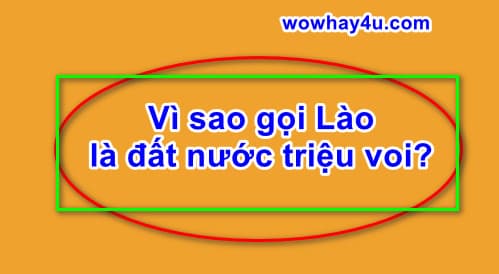 Vì sao gọi Lào là đất nước triệu voi? Đúng nhất