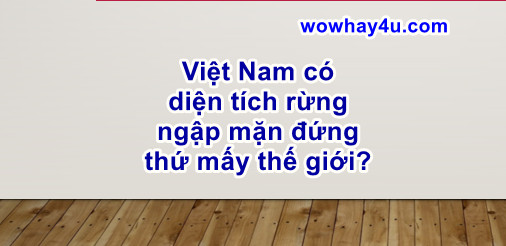 Việt Nam có diện tích rừng ngập mặn đứng thứ mấy thế giới? Đúng nhất