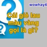 Giẻ lau màu vàng gọi là gì? Đúng nhất