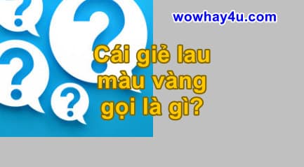 Giẻ lau màu vàng gọi là gì? Đúng nhất