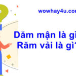 Dăm mận là gì? Răm vải là gì? Đúng nhất đọc ngay