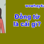 Đồng từ là cái gì? Đúng nhất