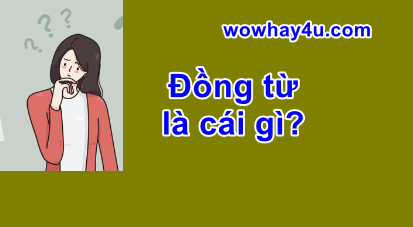 Đồng từ là cái gì? Đúng nhất