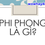 Phi phong là gì? Đúng nhất đọc ngay