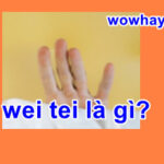 wei tei là gì? Sự thật té ngửa về wei tei