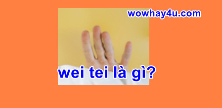 wei tei là gì? Sự thật té ngửa về wei tei
