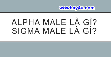 Alpha Male là gì? Sigma Male là gì? Đúng nhất