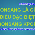 Bonsang là gì? Điều đặc biệt Bonsang Kpop chưa ai biết