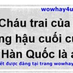 Cháu trai của Hoàng hậu cuối cùng của Hàn Quốc là ai? Đúng nhất