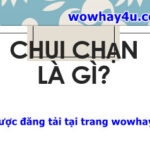 Chui chạn là gì? Giải thích ý nghĩa chui chạn mới nhất