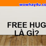 Free Hug là gì? Điều đặc biệt về Free Hug chưa ai biết