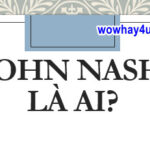 John Nash là ai? Điều đặc biệt về cuộc đời John Nash
