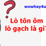 Lò tôn ôm lò gạch là gì? Giải thích đúng nhất đọc ngay