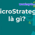 MicroStrategy là gì? Ai sáng lập MicroStrategy? Điều đặc nhất