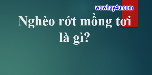 Nghèo rớt mồng tơi là gì? Đúng nhất đọc ngay