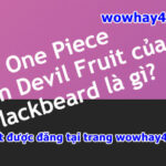 One Piece: Twin Devil Fruit của Blackbeard là gì? Giải thích mọi thứ
