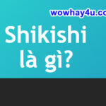 Shikishi là gì? Clear Files là gì? Đúng nhất