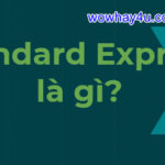 Standard Express là gì? Đúng nhất đọc để biết
