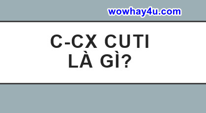 c-cx cuti là gì? Đúng nhất đừng tìm đâu nữa