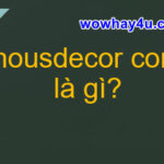 nousdecor com là gì? Lí do nousdecor com viral