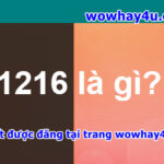 1216 là gì? Giải thích nghĩa 1216 mới nhất