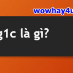 2g1c là gì? Đọc ngay không tối cổ đó nghe