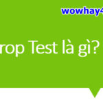 Drop Test là gì? Điều đặc biệt về Drop Test bạn chưa biết