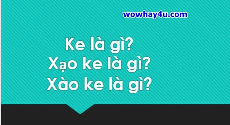 Ke là gì? Xạo ke là gì? Xào ke là gì? Đúng nhất đọc ngay