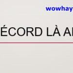 Récord là ai? Récord nim là ai? Đúng nhất