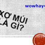 Xơ múi là gì? Điều đặc biệt về xơ múi chưa ai biết