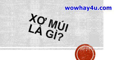 Xơ múi là gì? Điều đặc biệt về xơ múi chưa ai biết