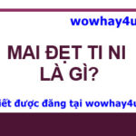 mai đẹt ti ni là gì? mai đẹt tin ni là gì? Đúng nhất
