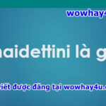 maidettini là gì? Đúng nhất đừng tìm đâu nữa