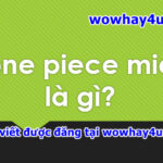 one piece mid là gì? Đúng nhất