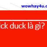 sick duck là gì? Điều đặc biệt về sick duck chưa ai biết