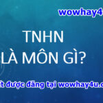 tnhn là môn gì? Đúng nhất đọc ngay