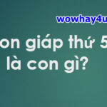 Con giáp thứ 5 là con gì? Điều đặc biệt về con giáp thứ 5 chưa ai biết