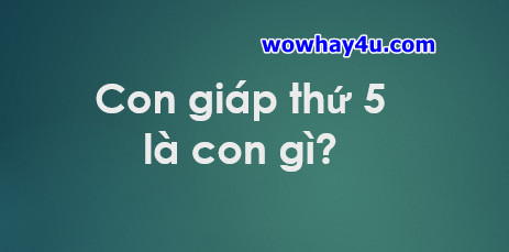 Con giáp thứ 5 là con gì? Điều đặc biệt về con giáp thứ 5 chưa ai biết