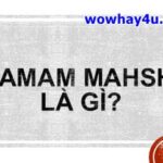 Hamam mahshi là gì? Điều đặc biệt về Hamam Mahshi