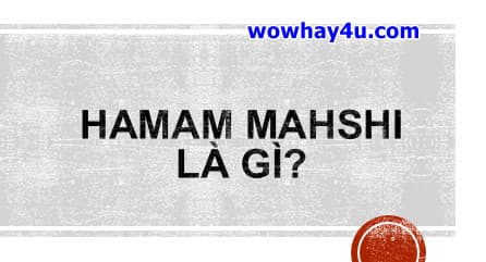 Hamam mahshi là gì? Điều đặc biệt về Hamam Mahshi
